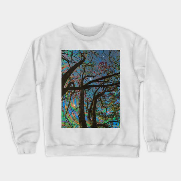 Interconnection Crewneck Sweatshirt by Cajuca